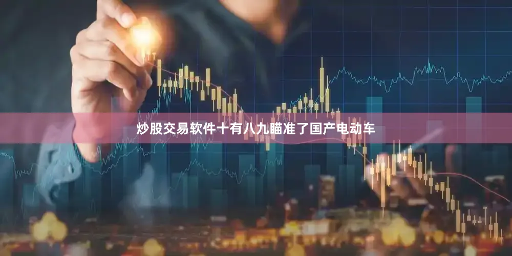 炒股交易软件十有八九瞄准了国产电动车