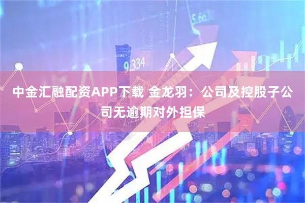 中金汇融配资APP下载 金龙羽：公司及控股子公司无逾期对外担保