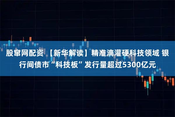 股窜网配资 【新华解读】精准滴灌硬科技领域 银行间债市“科技板”发行量超过5300亿元