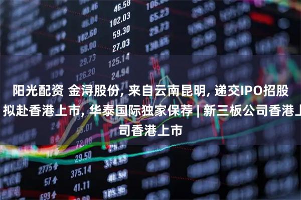 阳光配资 金浔股份, 来自云南昆明, 递交IPO招股书, 拟赴香港上市, 华泰国际独家保荐 | 新三板公司香港上市
